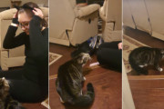 飼主さんが猫耳をつけた途端、警戒するように後ずさりし始める猫…その姿に飼主さんも爆笑！