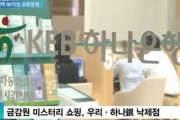 韓国人「韓国の銀行が最高の詐欺師」ウリ銀行DLF元本全額の損失！雪だるま式被害拡大が現実へ‥　韓国の反応