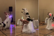 ウエディングドレス姿で愛犬のボーダーコリーと素晴らしいダンスパフォーマンスを披露する花嫁