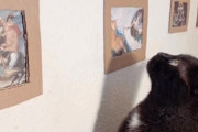 新型コロナウイルスで隔離生活中の飼い猫のために、お手製おうちアートギャラリーを設置した飼い主さん