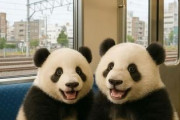 中国人「日本の鉄道、簡単じゃん。余裕余裕」　中国人「複雑極まりない」「東京も複雑怪奇」