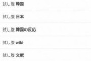 韓国人「日本人が『試し腹』が韓国の伝統文化だと拡散中！」日本で「試し腹」で検索した結果がマジでヤバ過ぎた‥　韓国の反応