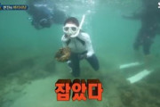 【画像あり】韓国人「タイ人が韓国人に激怒！」タイ国立公園で絶滅危機種の大王貝を捕まえて食べた韓国人の姿がＳＮＳで拡散され、警察に捜査を要請！　韓国の反応