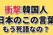 【衝撃】韓国人「日本のこの言葉、もう死語なの？ まだ聞くんだけど…」
