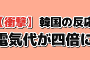 【衝撃】韓国人「日本の電気、295万世帯が安いほうに乗り換えた結果」