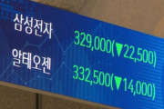 韓国人「史上最大の黒字なのにウォンだけが弱い…『暗黒の月曜日』を懸念」
