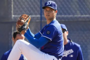 大谷翔平の縦列駐車に全米騒然！←「LAのドライバー」（海外の反応）