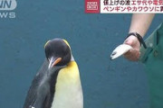 韓国人「日本人のマインドは本当にすごい」