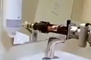 人間がやりたくない仕事はロボットに任せろ。良い仕事をするロボットのトイレ掃除。海外の反応