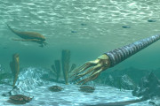 【海外】オルドビス紀の大絶滅：地球上の85％の生命を独自な方法で消滅させた衝撃の真実