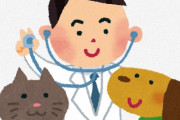 海外「信じられない！安いを通り越してるよ！日本に引っ越さなきゃ！」海外のペット事情が厳しすぎる件（海外の反応）