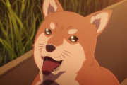 飼い主に「ゲイ」だと勘違いされたワンコ、捨てられてしまう(´；ω；｀)