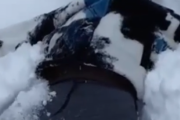 雪の楽しみ方知ってる？初めての雪に興奮してやりたいことはコレ。海外の反応