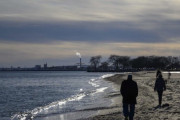 【閲覧注意】アメリカの湖岸に謎の「脳みそ」が漂着、発見した男性震えあがる