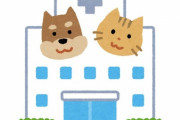 「こんなに犬たちに愛される獣医が他にいるだろうか？」動物病院で撮影された映像