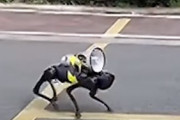 まるでSF映画！？住民へのコロナウイルス注意喚起に四足歩行ロボットが使用される(中国)