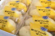 韓国人「かつて韓国人が日本旅行へ行けば買ってきたモノを見てみよう」