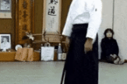 日本の伝統武術映像が話題に！達人たちの動きに注目集まる　韓国ネットユーザーの反応