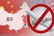 輸出規制で足が途絶えた日本旅行、新型コロナの影響で再び脚光…韓国の航空会社「選択の余地はない」＝韓国の反応