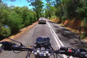 飛び出し注意！ていうか座ってた！！道路にいたコアラを救出するライダーさん
