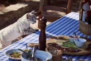 「猫に家のルールを徹底させるために、わが家ではこうしてる…」体を張ったやり方