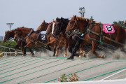 外国人「日本にはばんえい競馬という1トンのソリを引かせるレースがあるらしい…」