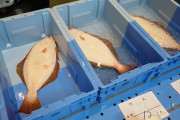 福島県産の食材は東京五輪で提供されるべきだと思う？（海外の反応）