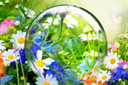 日本、ドローンでシャボン玉を散布することで、植物の受粉に成功 – 日本の創作性がすさまじいと話題に【海外の反応】