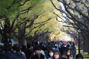 韓国紙「通りは市民でいっぱい ... コロナはもう他国の話になった日本」韓国の反応