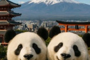 中国人「日本で安価で楽しめる都市を教えて」　中国人「米子は良かった」「時期を外したあそこは最高！」
