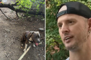 【海外】見ず知らずの人を救った！？犬が導いた奇跡のストーリー