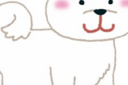 海外「儲かった！」日本ゆかりの暗号通貨を叫び始める世界一の大富豪に海外がびっくり仰天