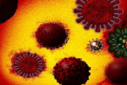 日本の研究チームがデルタ変異に関連する新たな変異を日本で初めて確認「日本はコロナの孵化器」「日本からの入国を全面的に禁止すべき」海外の反応
