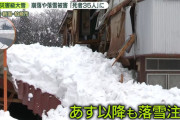 外国人「日本で記録的な大雪が発生してヤバいことになってる…」