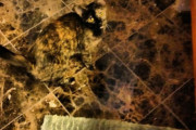 外国人「偶然から生まれたカモフラージュ画像を集めてみたぞ！」