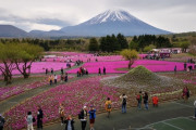 スイス人「新婚旅行で念願の日本に行ってきた！」日本旅行に対する海外の反応