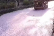 海外「日本はとても美しい」 京都の桜の川が話題に