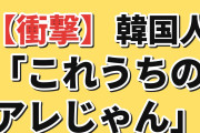 【衝撃】韓国人「日本で人気のこのデザート、うちのアレじゃん」