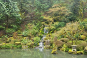 外国人「オレゴン州の日本庭園に行ってきたので見てくれ」