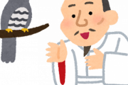 韓国人「文禄の役の頃の日本なら、ヨーロッパを統一できましたか？」