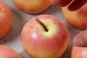 本物みたいな見た目だけどふわふわで美味しそうなアップルマフィン作ってみませんか？海外の反応