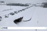 【韓国の反応】日本、2ｍの大雪に高速道路で車1000台余りが孤立被害
