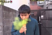 必ずむせてしまう日本の抹茶アイスクリーム、海外でも話題にｗｗｗｗ