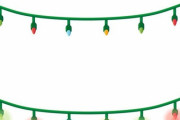 「カエルがクリスマスライトを飲み込むと…」→こんな光り方をする
