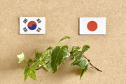 韓国ドラマは本当に日本で人気があるのか？「日本のゲームが韓国でヒットするように、韓国のドラマが日本でヒットする」「事実、統計、データで説明するのが好き」海外の反応