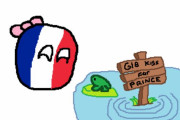 【フランス】フロッガー【ポーランドボール】
