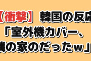 【衝撃】韓国人「日本人が作った室外機カバー、1年後に気づく」