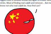 【中国】中国の名案【ポーランドボール】