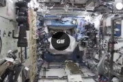 宇宙船の中に突如ゴリラが現れた時の宇宙飛行士の反応が海外で話題に