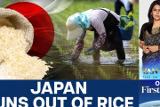 インド人「日本がコメ不足だって？安心してくれ…」